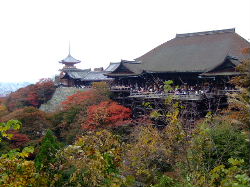 e0088654_228135.jpg