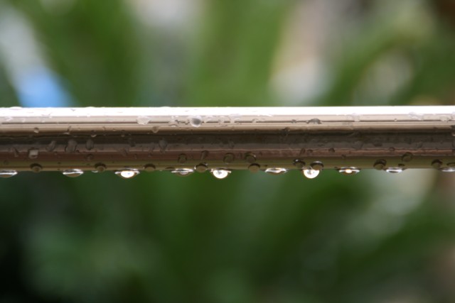 a0052156_22534035.jpg