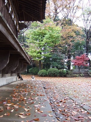 b0059860_1123361.jpg