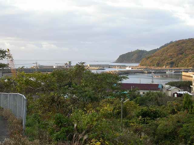 b0104861_22183766.jpg