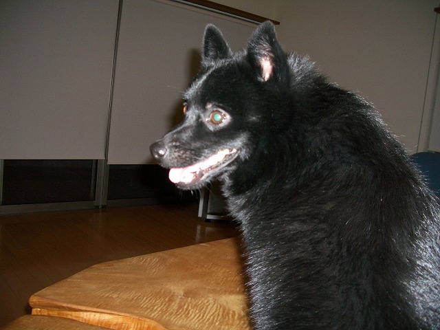 e0002466_21102891.jpg