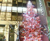 e0037673_2312352.jpg