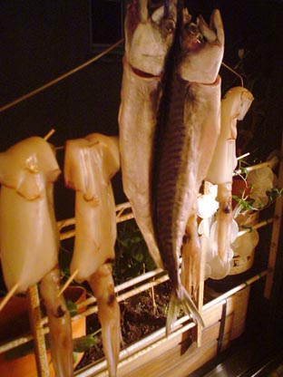 f0056476_14165.jpg