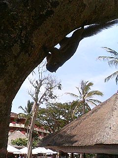 f0054677_14132736.jpg