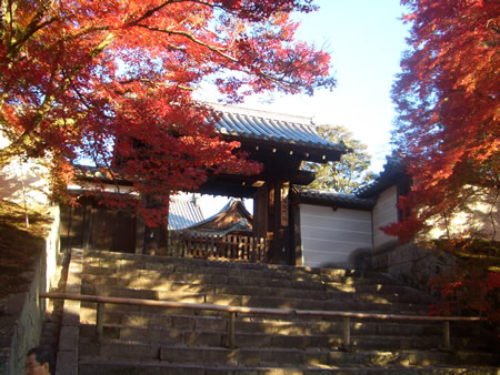 d0074578_1211175.jpg