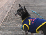 f0035288_22413239.jpg