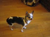 f0035288_22513863.jpg