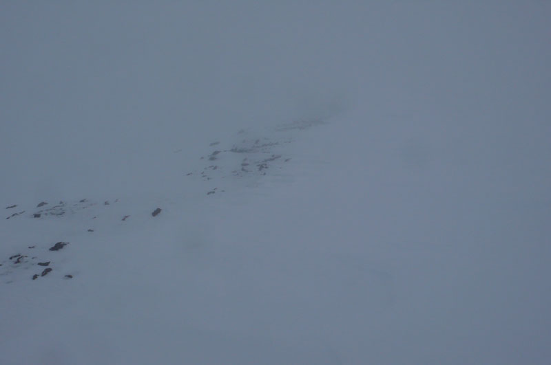 b0046290_22504629.jpg