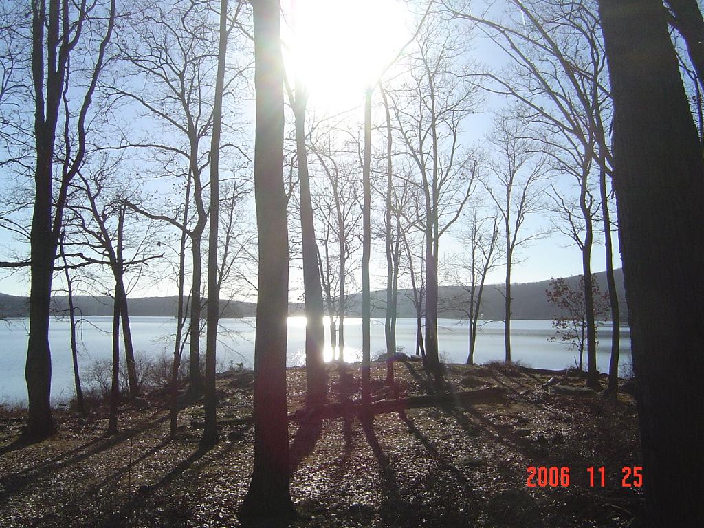 c0062495_033561.jpg