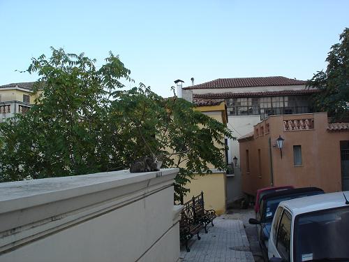 c0010496_23383916.jpg