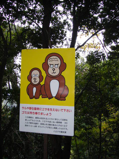 d0070702_038557.jpg
