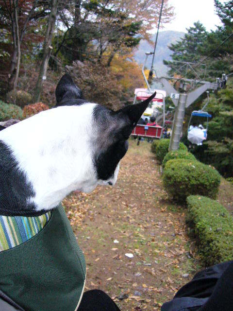 d0070702_0452930.jpg