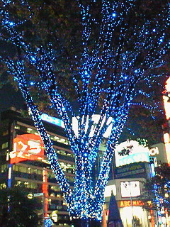 a0079207_23131044.jpg
