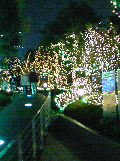 a0079207_23132965.jpg