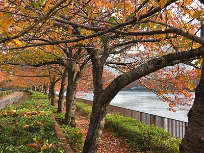 a0041508_2291834.jpg