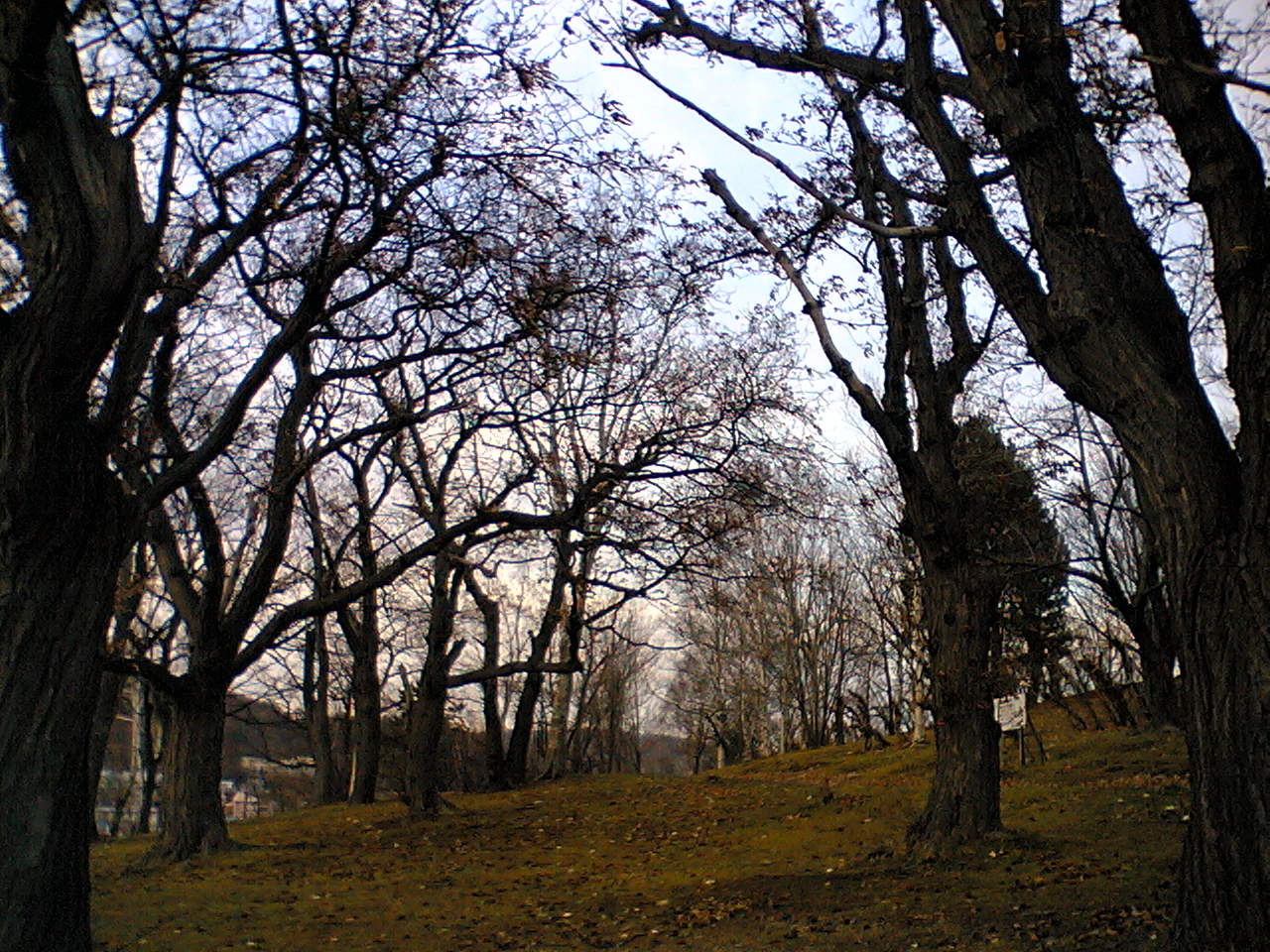 e0063317_12213354.jpg