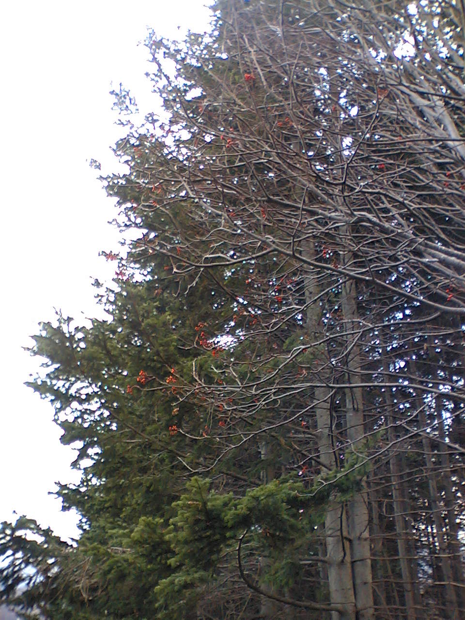 e0063317_1235524.jpg