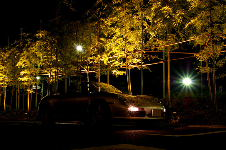 a0070118_932251.jpg