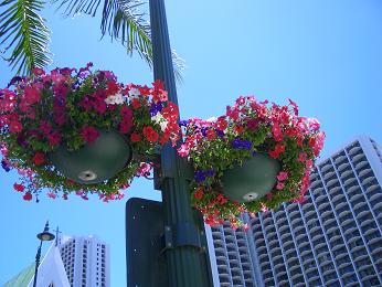 c0055324_1731039.jpg