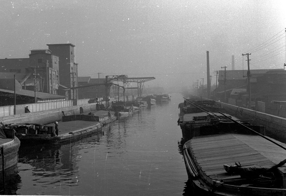 a0046429_19482452.jpg