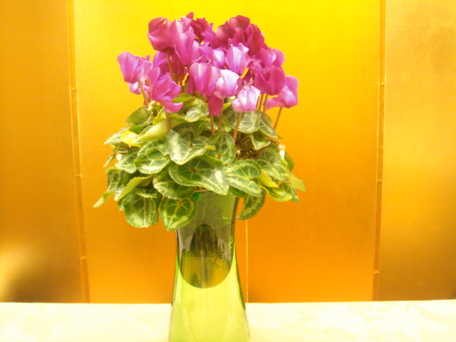f0052933_1039324.jpg