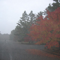 d0033734_11124166.jpg