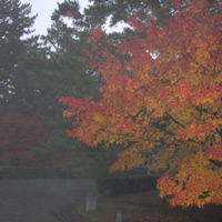 d0033734_11133770.jpg