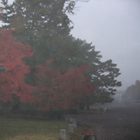 d0033734_1113980.jpg