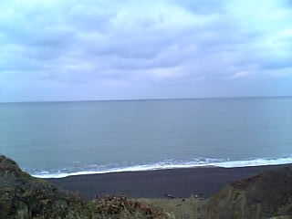 f0110439_1473485.jpg