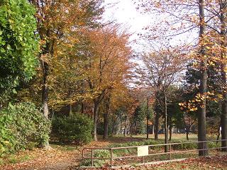 f0075043_21533267.jpg