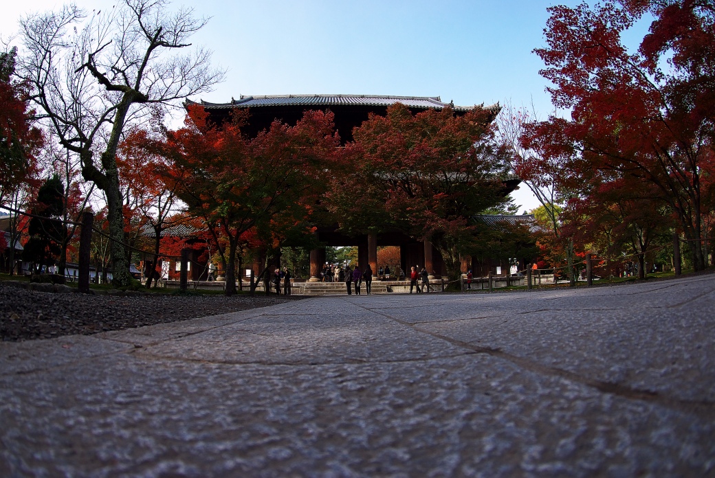 f0049152_21232928.jpg