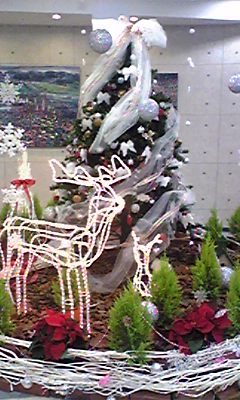 c0081853_17592242.jpg