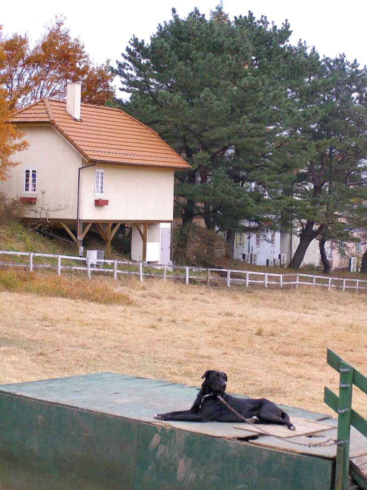 e0064158_0201325.jpg