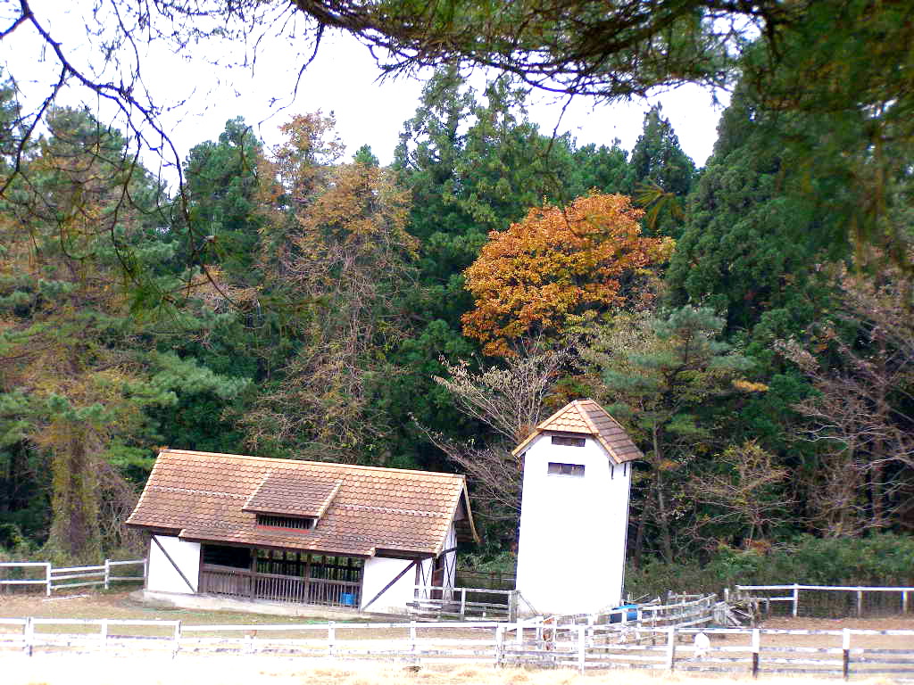 e0064158_021311.jpg