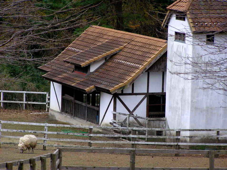 e0064158_0214385.jpg