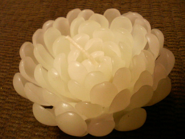 f0089079_1024514.jpg