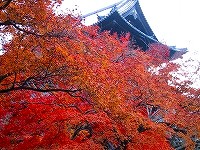 b0073782_2591216.jpg