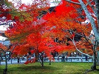b0073782_2592135.jpg