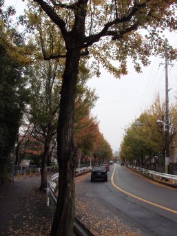 f0008085_2219859.jpg