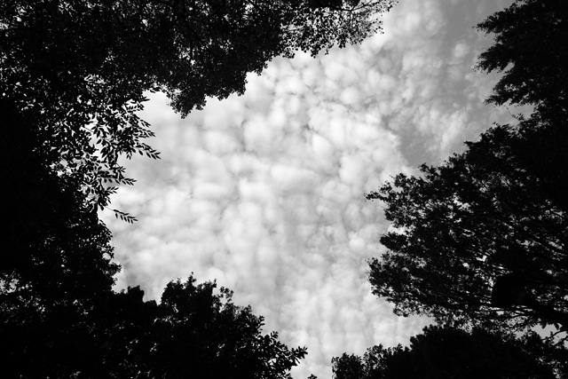 b0067789_23104486.jpg