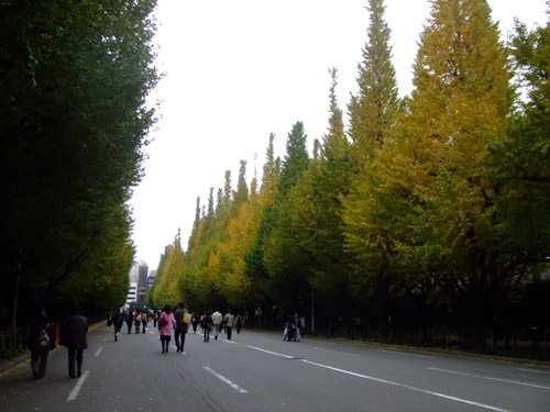 d0003996_1742710.jpg