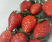 d0021996_21104193.jpg