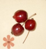 a0074202_22273347.jpg