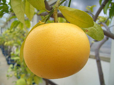 c0098304_22211672.jpg