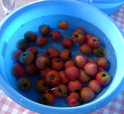 b0076710_16315060.jpg