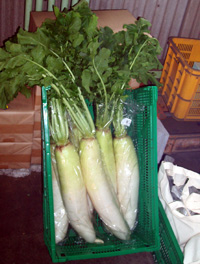 b0076710_16324682.jpg