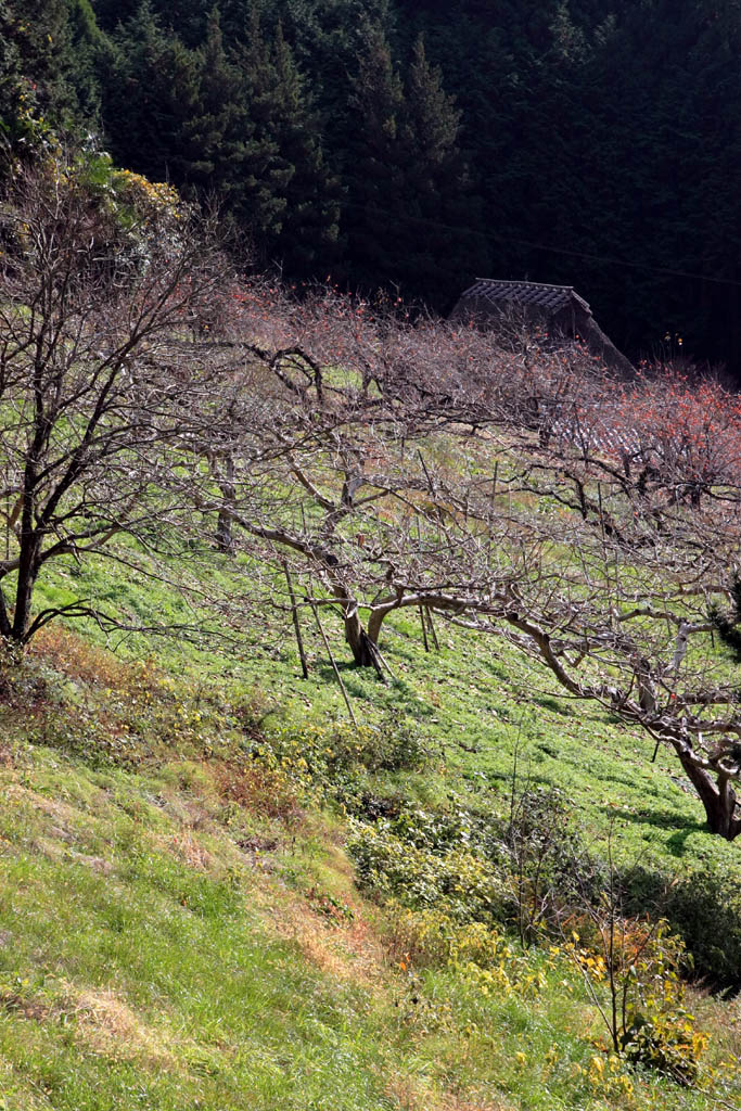 d0085715_23552129.jpg