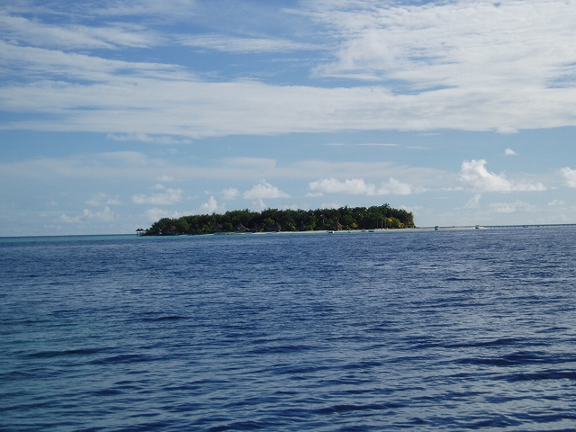 f0113918_21124091.jpg