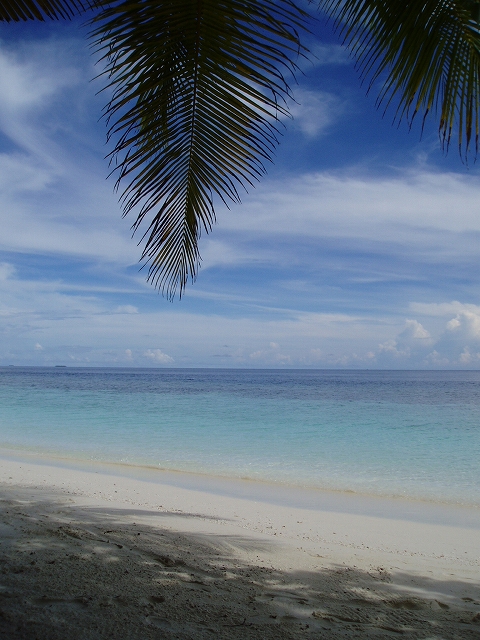 f0113918_21134561.jpg