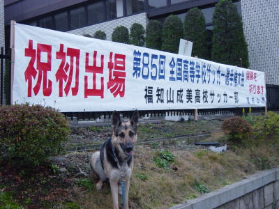 c0090220_9393547.jpg